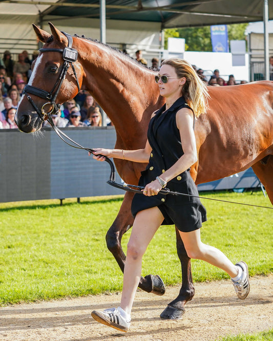 Cassie Sanger's Burghley Trot Up Look Two
