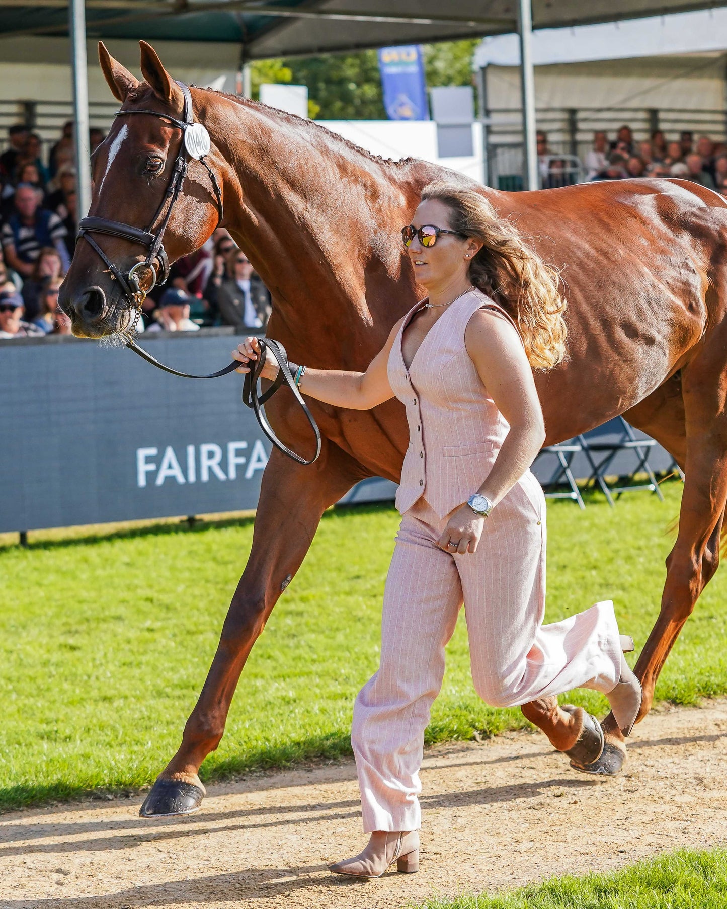 Laura Collett's Burghley Trot Up Look Two