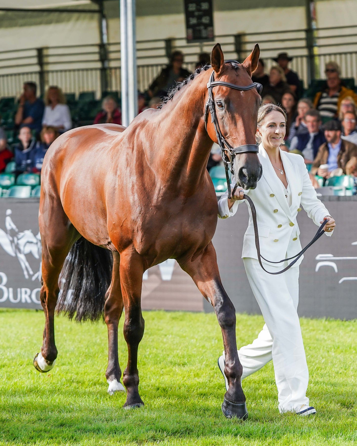 Lauren Innes's Burghley Trot Up Look One