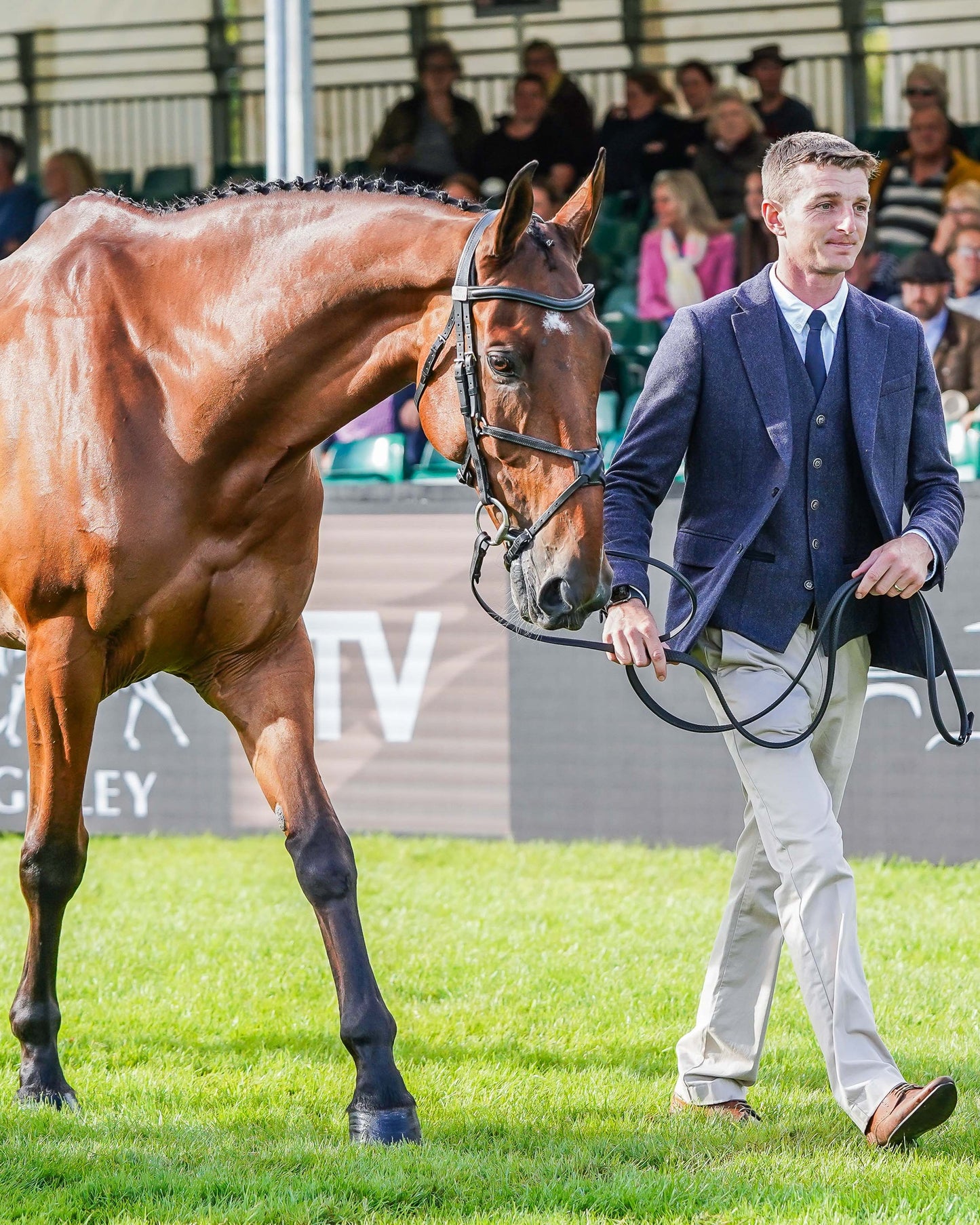 Tom Jackson's Burghley Trot Up Look One