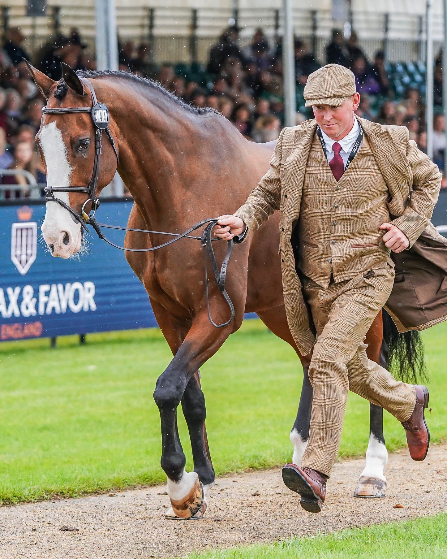Matt Heath's Burghley Trot Up Look One