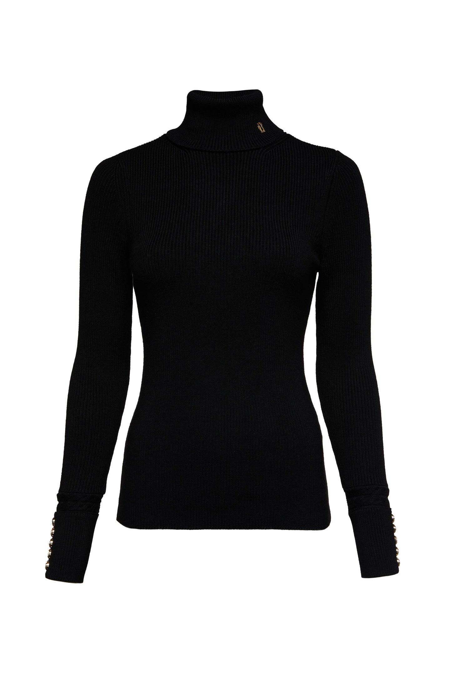 Painswick Roll Neck Knit (Black)