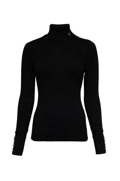 Painswick Roll Neck Knit (Black)