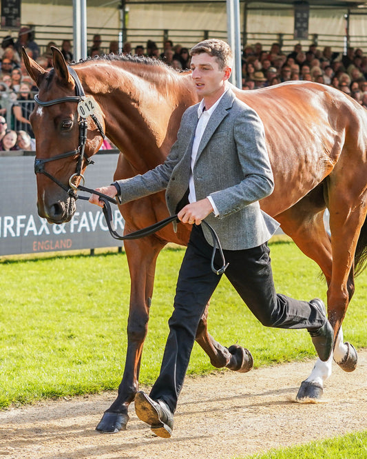 Tom Jackson's Burghley Trot Up Look Two