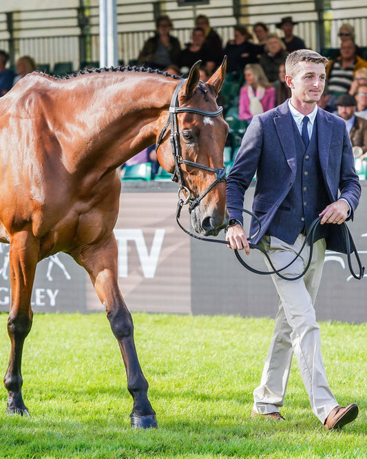Tom Jackson's Burghley Trot Up Look One