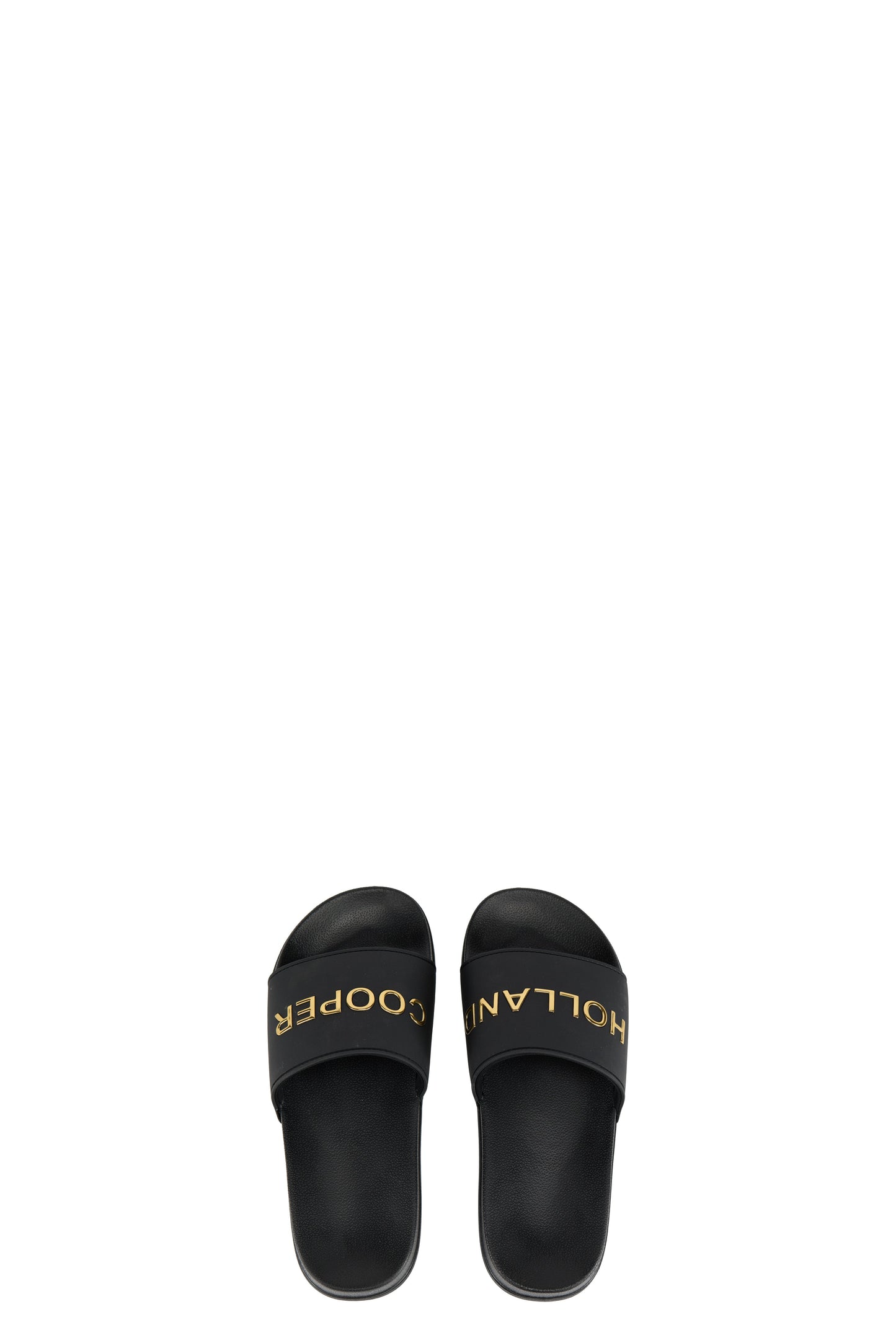 Pool Slide (Black Gold)